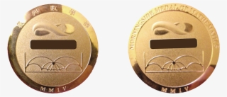 The Morningside Medal Of Mathematics Is Awarded To #7484420