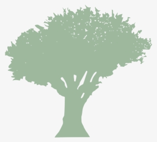 Crown Thin, Lift & Reduce #7486652