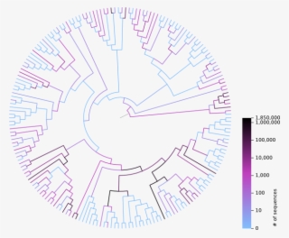 Phylogenetic Tree With Coloured Branches #7487648