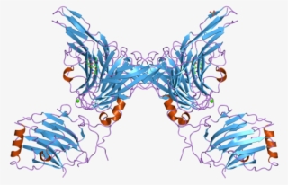 Pdb 2c5d Ebi #7488218