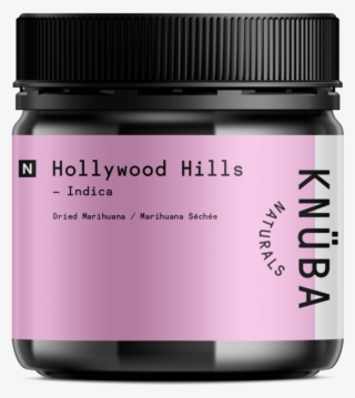 Hollywood Hills Png #7488609