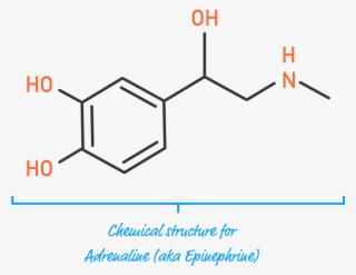This Is Going To Be A Fun Exercise Where We Build Each #7490652