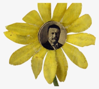 Theodore Roosevelt Clipart Flower #7495268