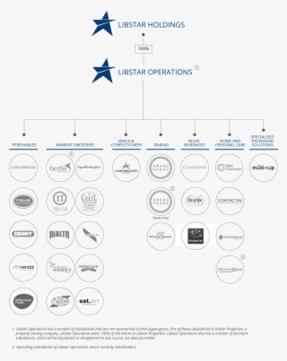 Company Structure #7495539