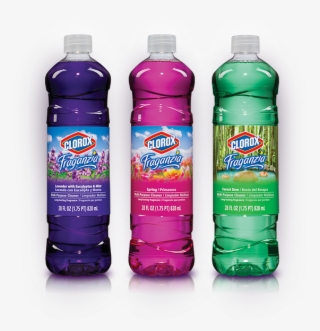 Coupon Savvy Sarah Off Any Two Clorox Fraganzia Muli #7495542