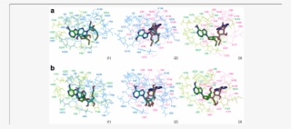 Residues Involved In Mta And Heta Binding Into The #7495971