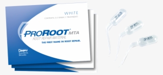 Image For Proroot Mta 4 X #7496073