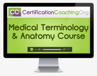 Medical Terminology & Anatomy Course #7497137