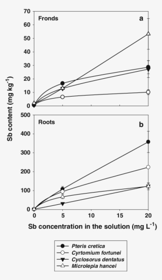 Antimony Accumulation In The Fronds And Roots Of Fern #7497551
