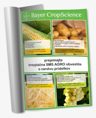 Bayer - Sms Tips #7498177