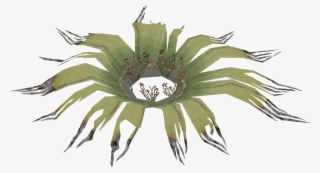 Centipede Png #7498595