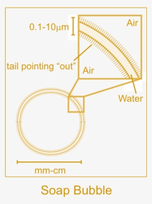 In The Zoomed-in Area Of The Bubble, The White Part - Structure Of Soap Bubble #750296