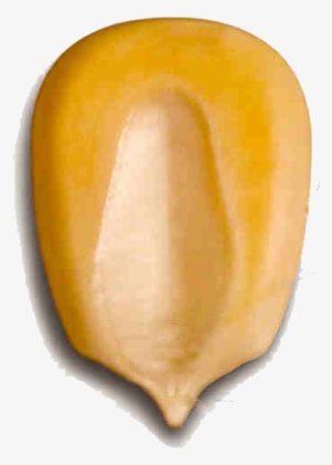 I Can't Say That I Was Initially To Pumped To Watch - Movie Kernels #750534