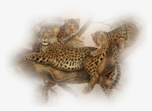 Leopard Png Transparent Images - Leopard #750706