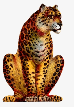Sitting Leopard Png High-quality Image - Leopard Vintage #751060