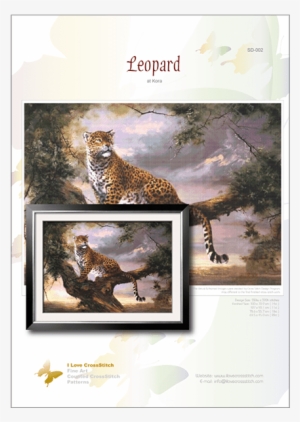 Prev - Elvira Duran - Leopard In Tree #751344