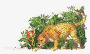 Jaguar In The Jungle #751393