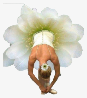 Transparent Background - Bailarinas De Ballet Con Flores #751419
