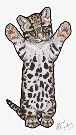 Png Black And White Download Cute Clouded By Silvercrossfox - Snow Leopard #751468