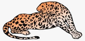 Big Image - Jaguar #751625