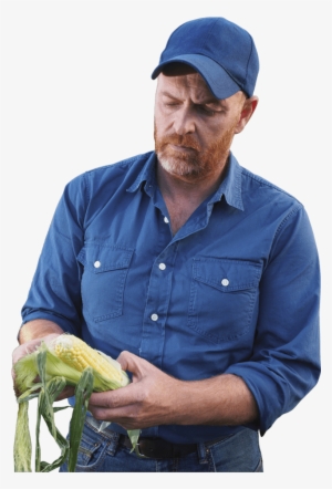 Portable Network Graphics #751992