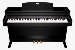 Extra Large [1 - Casio Px-150 Black #752833