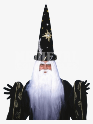 Wizard Beard Png - Forum Novelties Merlin Wig And Beard Wigs Adult Costume #754810