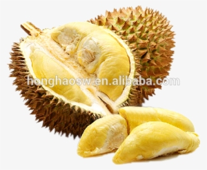 1 - Durian Fruit #754991