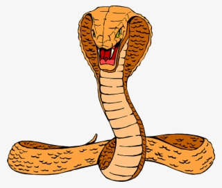 Orange Cobra Clip Art At Clker - Clipart Cobra #755111
