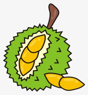 10 Durian Fruit Royalty Free Clipart - Durian Clipart #755265