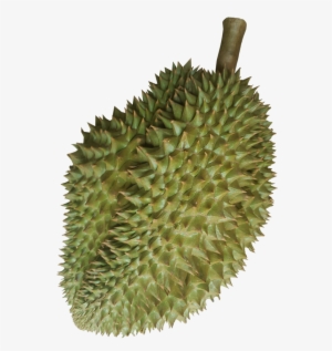 Ex-factory Or Fob Bangkok - Child #755526