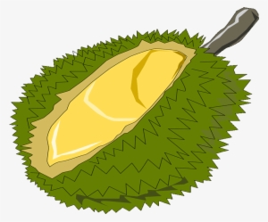 Vector Royalty Free Free Fruits Name - Durian Clipart Png #755551