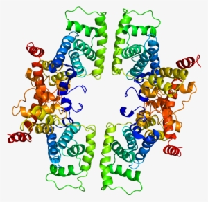 Protein Ccnt1 Pdb 2pk2 - Cyclin T1 #755807