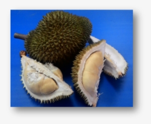 03 04 - Durian #755914