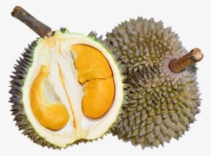 Black Thorn - 槟 城 黑 刺 榴莲 #755939