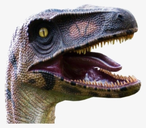 Background Designs, Background Images, Website Images, - Dino Head No Background #756377