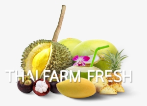 High Quality - Job #756974