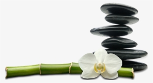 23-spa - Spa Massage #757791