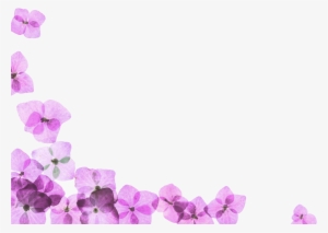 Organic Bliss Day Spa 547 Athol Ave, Oakland, Ca 94606 - Flower Spa Border #757908