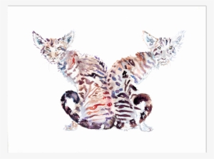 Watercolor Two Headed Cat - Sphynx #757967