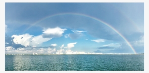 Florida And Sarasota Are Amazing - Florida #758175