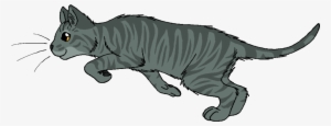 Bloomheart - Wildpathofshadowclan Thunderclan #758198 Bloomheart - Wildpathofshadowclan Thunderclan #758198