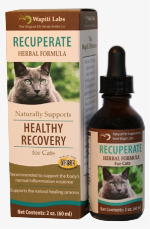 Recuperate For Cats - Wapiti Labs Dog Recuperate Formula #758259