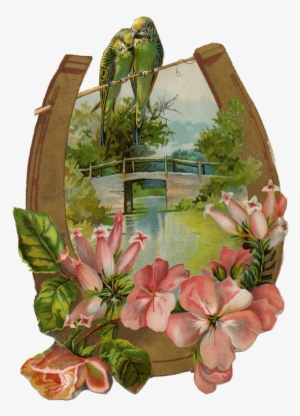 Img151a1 - Garden Roses #758300