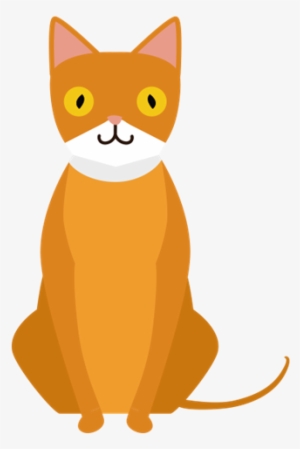 Domestic Short-haired Cat #758773