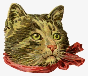 Vintage Cat - Sass & Belle Cat Dress Up Coasters - Set Of 4 #758803