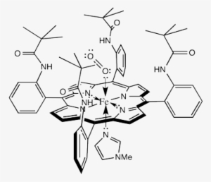 Reactivity Oxygen Reduction - Iron Porphyrin #759436