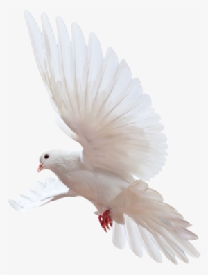 First Name - Blessing Of The Lord: Riches, Wealth #759609