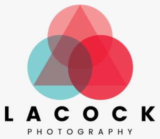 Lacock Photography #7502774