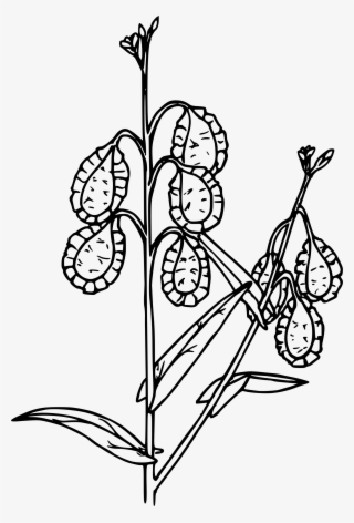 This Free Icons Png Design Of Fringe Pod #7504772